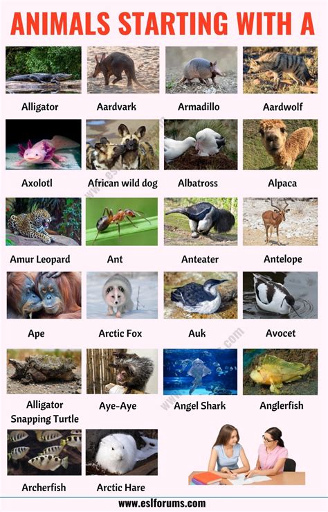 animals that start with aa.